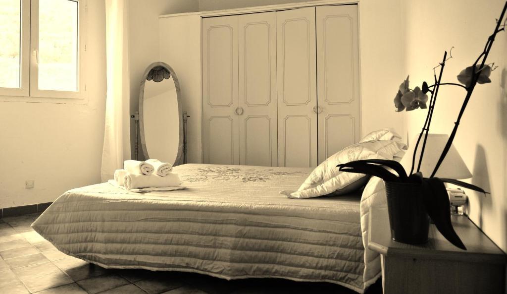 Hotel Residence San Pieru Tarcu Ngoại thất bức ảnh